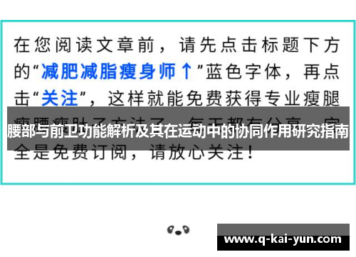 腰部与前卫功能解析及其在运动中的协同作用研究指南